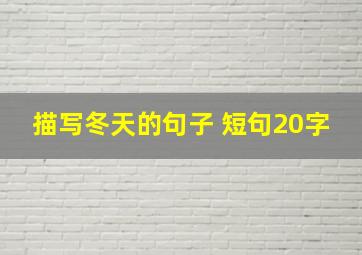 描写冬天的句子 短句20字